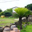 여름이네민박 이미지