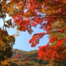 윤대통령 완전 세계적인 스타됨. 이미지