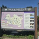 양평역 종합관광안내소 이미지