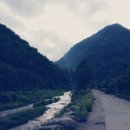 자개골캠핑장 이미지