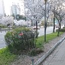 교문2동 행정복지센터 앞 이미지