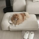 몽글몽글PET | 펫소파 추천 강아지 소파 사기 전 이건 꼭 확인하세요!