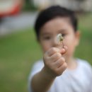 나사렛유치원 이미지