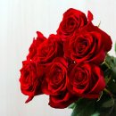 장미식품 이미지