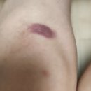 [크로스핏] 오늘 와드 쉽다던 관장님 말을 믿지 말았어야해....