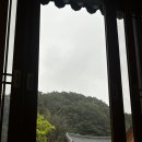 신흥여객자동차 | 완도]전남 뚜벅이 템플스테이 이동기｜영암 도갑사 후기 + 완도 신흥사 바다뷰, 솔직히 여기 김치가...