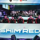 토마토세븐7스튜디오 이미지