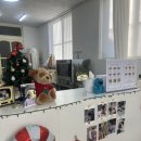 멈무푸드 이미지