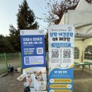 뛰뛰 강아지 놀이터 | 강아지 대형 놀이터 무료 삼막애견공원! 비온 날 갔다 온 후기