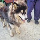 검정마을회관 이미지