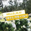 제주도 3박 4일 자유여행 #3일차 &#39;패딩이 절실한 4월의 삼다도&#39;
