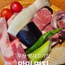 통돼지한마리 | 명지맛집 생돼지 화로구이 부산에서 고기가 탑으로 맛있었던 명지 고기집 ‘안민’