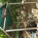 서삼릉길 이미지