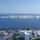 오션라이프카페