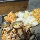 하모니동물병원 | 주간 일기 25.10.12 ~ 25.10.19