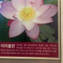 연을담은돈까스 이미지