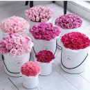 플라워디자인 이미지