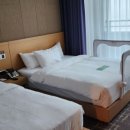 고메팔레스 이미지