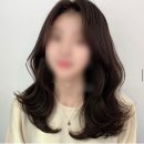포레포레헤어 오류점