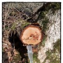 초록마을펜션민박 이미지