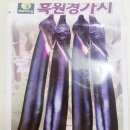 강화농약종묘사 | 봄 파종 작물 6종 추천! 봄비오기 전 파종한 씨앗들 무엇을 심었을까요?