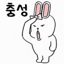 군산전자담배 디오션베이프 이미지