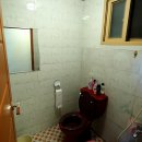 거일민박 이미지