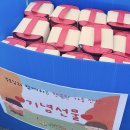 고현유치원