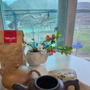 마서농장 | 시골놀이와 차놀이!