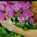 오늘의행복
