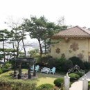 펜션 다알리아 이미지