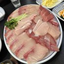 회프로 | [도봉 맛집] 도봉구 방어맛집 회프로 내돈내산 후기