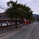 입석마을 입석 이미지