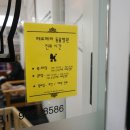 페로페라동물병원 이미지