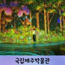 성산렌트카주 이미지