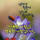 행복한아침 Daum카페