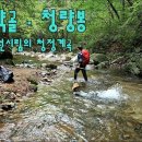 양지-3516 이미지