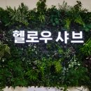 파라다이브 근처 거북섬 맛집 헬로우 샤브 방문후기