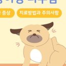 나무동물병원 이미지