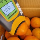 대성농장 이미지