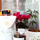 진우야채 이미지