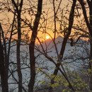 엘리시안강촌콘도 이미지