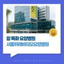 위례센트럴요양병원 | 여성 암환자 전문 맞춤치료 요양병원, 회복과 치유 중심의 서울위례바이오요양병원