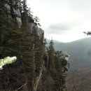 (주)청옥 Daum카페
