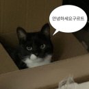 이승삼 스포츠센터 이미지