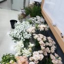 나도 플로리스트 이미지