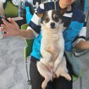 청산동물병원 이미지