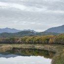 리틀 아쉬람 이미지