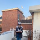 스테이 미드센트리