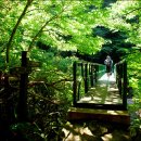 대성민박 이미지